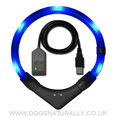 Leuchtie Premium Easy Charge Blue LED Dog Collar